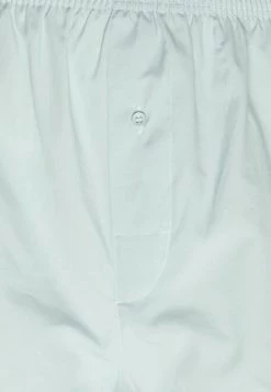 Pier One Hombre 5 PACK - Boxer - Blue /light Blue/green -Ofertas Pier One Tienda ff53bc0c1b224ea9809c5a4ed41eb7b0